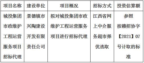 城投集團市政維護工程運營服務(wù)項目招標代理計劃公告