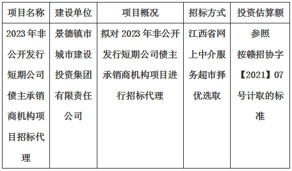 2023年非公開(kāi)發(fā)行短期公司債主承銷(xiāo)商機(jī)構(gòu)項(xiàng)目招標(biāo)代理計(jì)劃公告