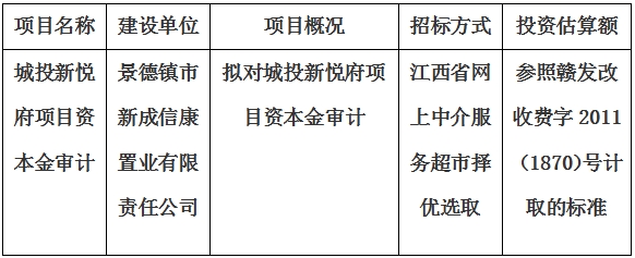 城投新悅府項目資本金審計項目計劃公告