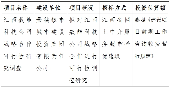 江西數(shù)能科技公司戰(zhàn)略合作可行性研究調查計劃公告