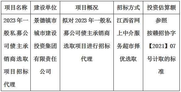 2023年一般私募公司債主承銷商選取項目招標代理計劃公告