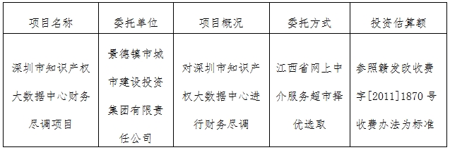 深圳市知識(shí)產(chǎn)權(quán)大數(shù)據(jù)中心財(cái)務(wù)盡調(diào)項(xiàng)目計(jì)劃公告