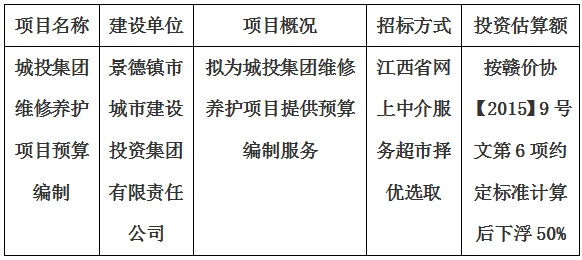 城投集團維修養(yǎng)護項目預算編制計劃公告